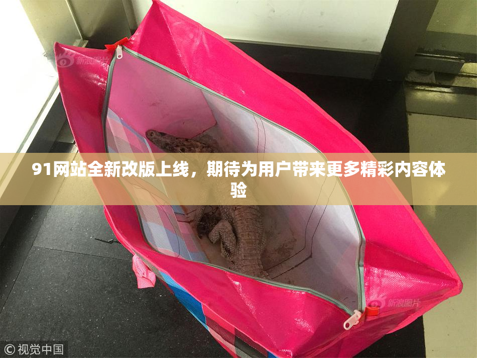 91网站全新改版上线，期待为用户带来更多精彩内容体验