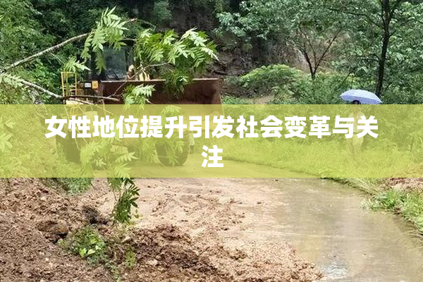 女性地位提升引发社会变革与关注