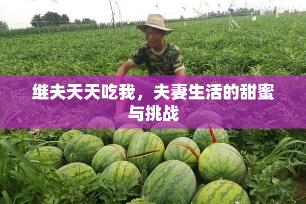 继夫天天吃我，夫妻生活的甜蜜与挑战