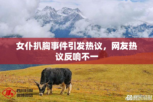 女仆扒胸事件引发热议，网友热议反响不一