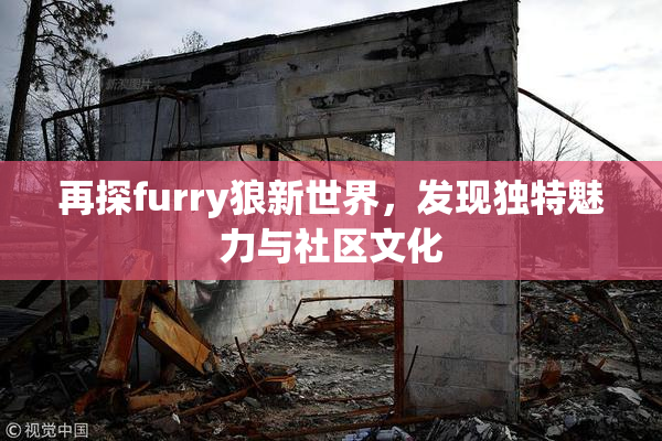 再探furry狼新世界，发现独特魅力与社区文化