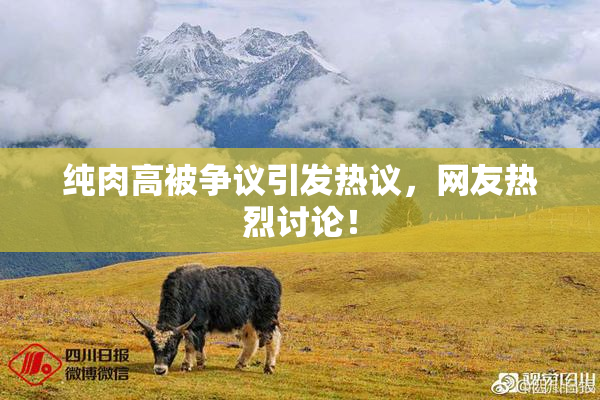 纯肉高被争议引发热议，网友热烈讨论！