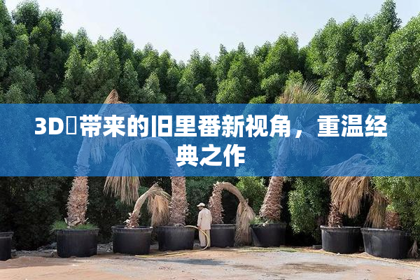 3D姉带来的旧里番新视角，重温经典之作