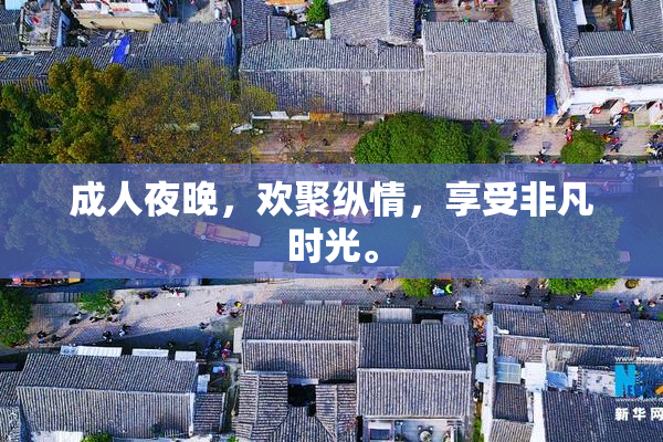 成人夜晚，欢聚纵情，享受非凡时光。