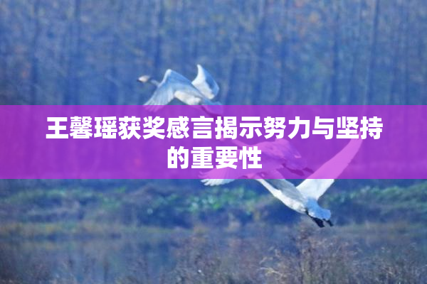 王馨瑶获奖感言揭示努力与坚持的重要性