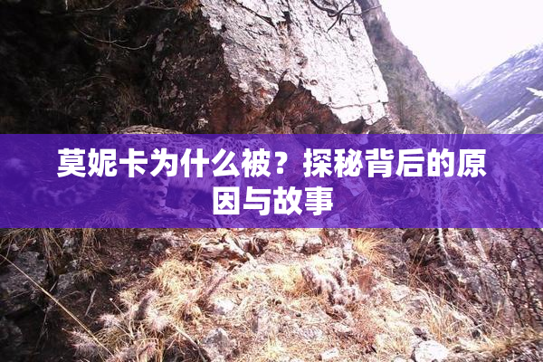 莫妮卡为什么被？探秘背后的原因与故事