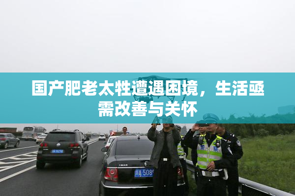 国产肥老太牲遭遇困境，生活亟需改善与关怀