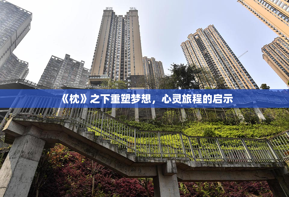 《枕》之下重塑梦想，心灵旅程的启示