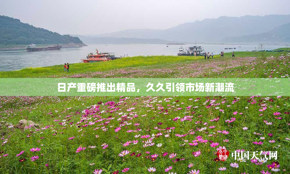日产重磅推出精品，久久引领市场新潮流