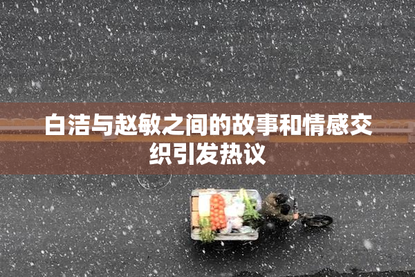 白洁与赵敏之间的故事和情感交织引发热议