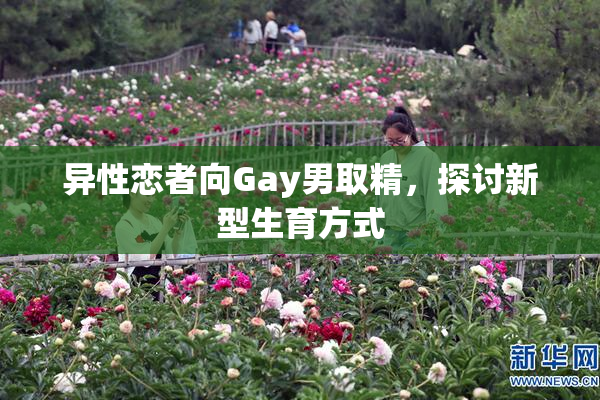 异性恋者向Gay男取精，探讨新型生育方式