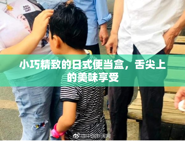 小巧精致的日式便当盒，舌尖上的美味享受