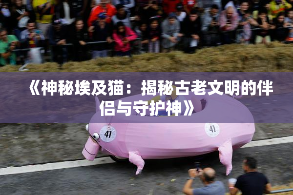 《神秘埃及猫：揭秘古老文明的伴侣与守护神》