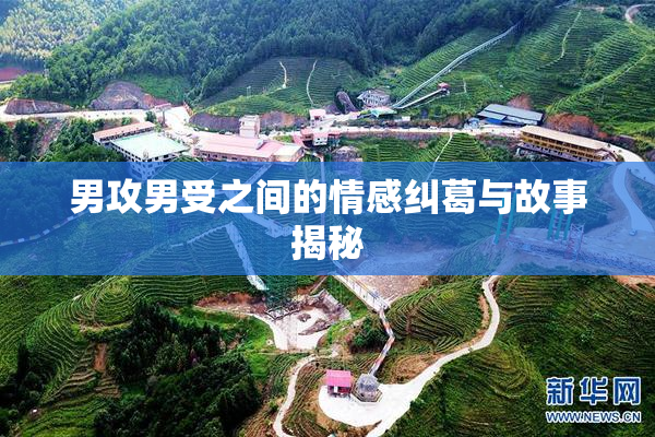 男攻男受之间的情感纠葛与故事揭秘