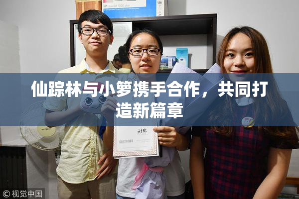 仙踪林与小箩携手合作，共同打造新篇章