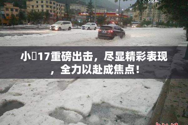 小泬17重磅出击，尽显精彩表现，全力以赴成焦点！