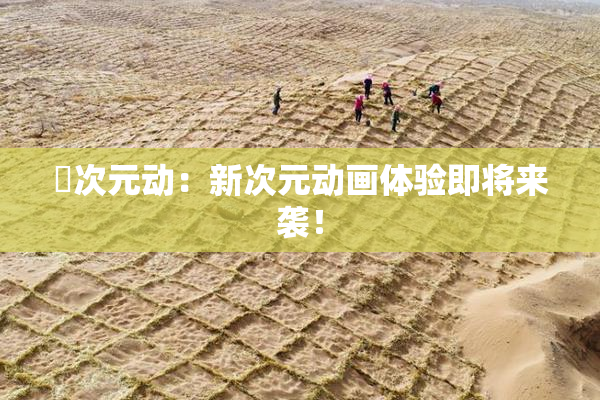 囧次元动：新次元动画体验即将来袭！