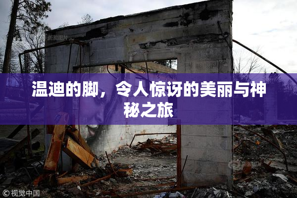温迪的脚，令人惊讶的美丽与神秘之旅