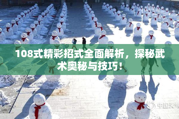 108式精彩招式全面解析，探秘武术奥秘与技巧！