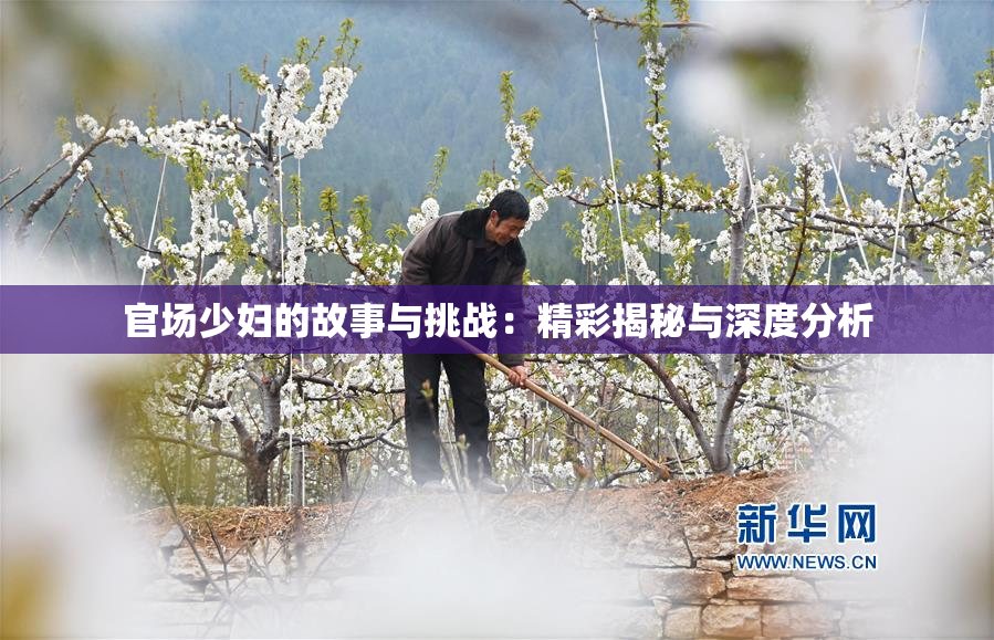 官场少妇的故事与挑战：精彩揭秘与深度分析