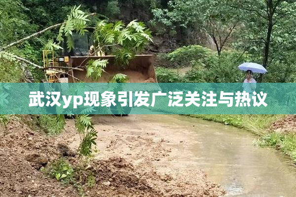 武汉yp现象引发广泛关注与热议