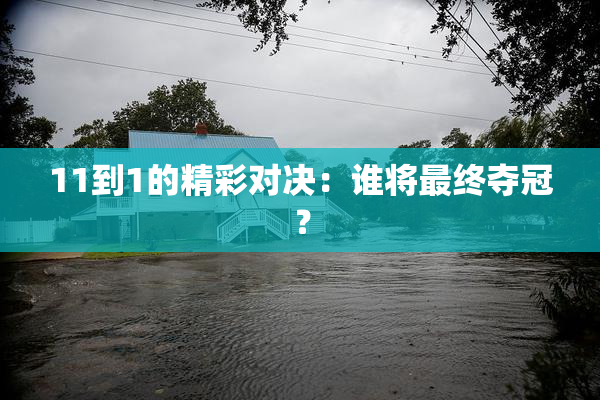 11到1的精彩对决：谁将最终夺冠？