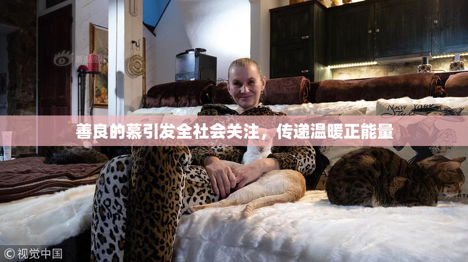 善良的慕引发全社会关注，传递温暖正能量