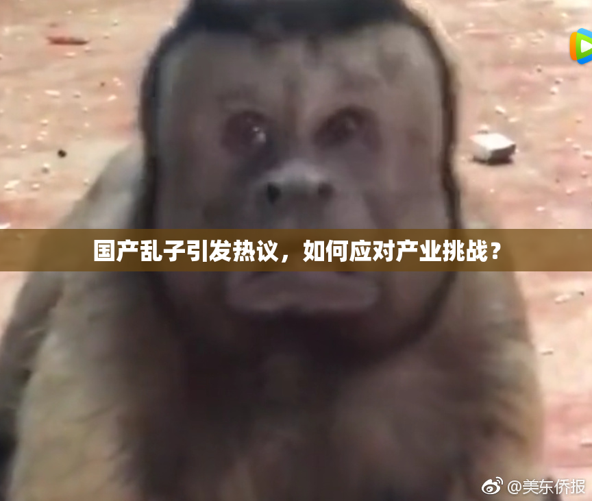 国产乱子引发热议，如何应对产业挑战？