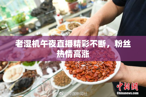 老湿机午夜直播精彩不断，粉丝热情高涨