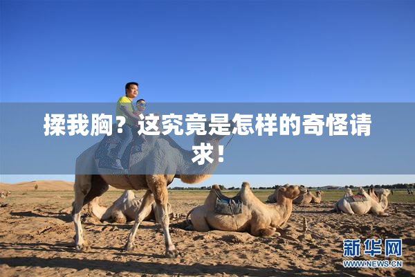 揉我胸？这究竟是怎样的奇怪请求！