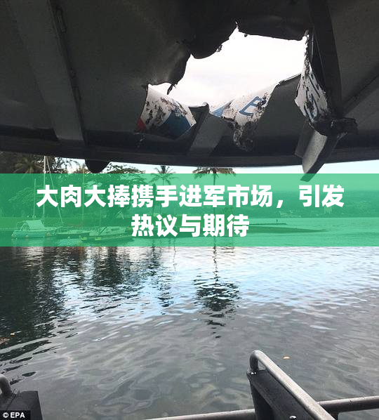 大肉大捧携手进军市场，引发热议与期待