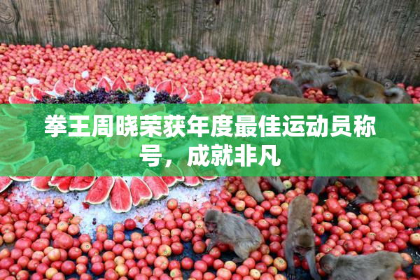 拳王周晓荣获年度最佳运动员称号，成就非凡