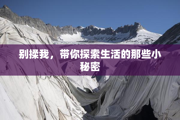 别揉我，带你探索生活的那些小秘密