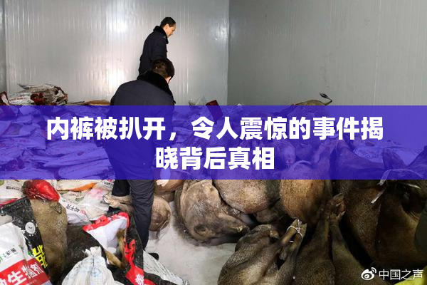内裤被扒开，令人震惊的事件揭晓背后真相