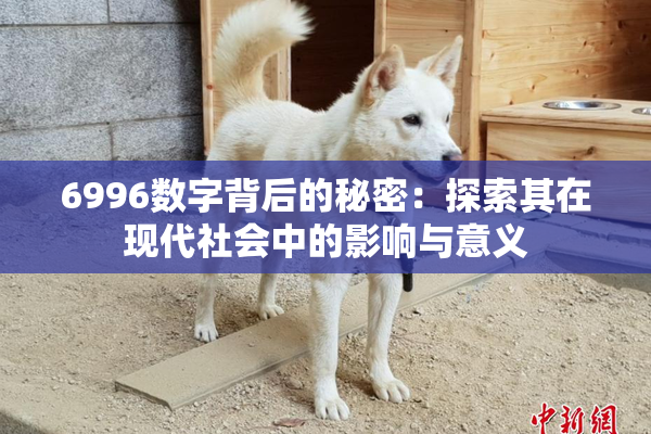 6996数字背后的秘密：探索其在现代社会中的影响与意义