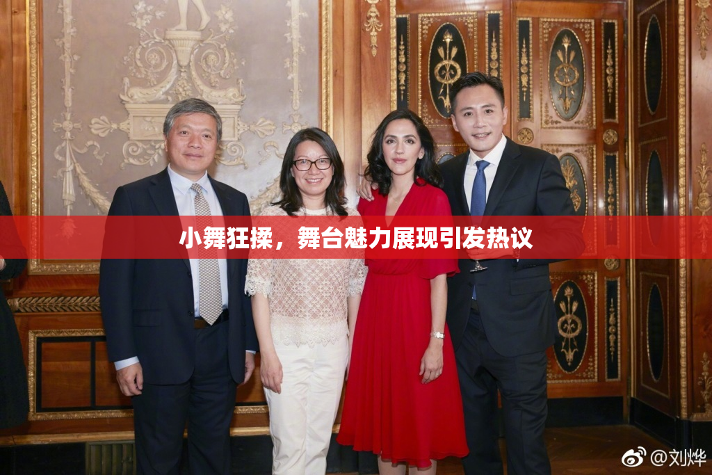 小舞狂揉，舞台魅力展现引发热议