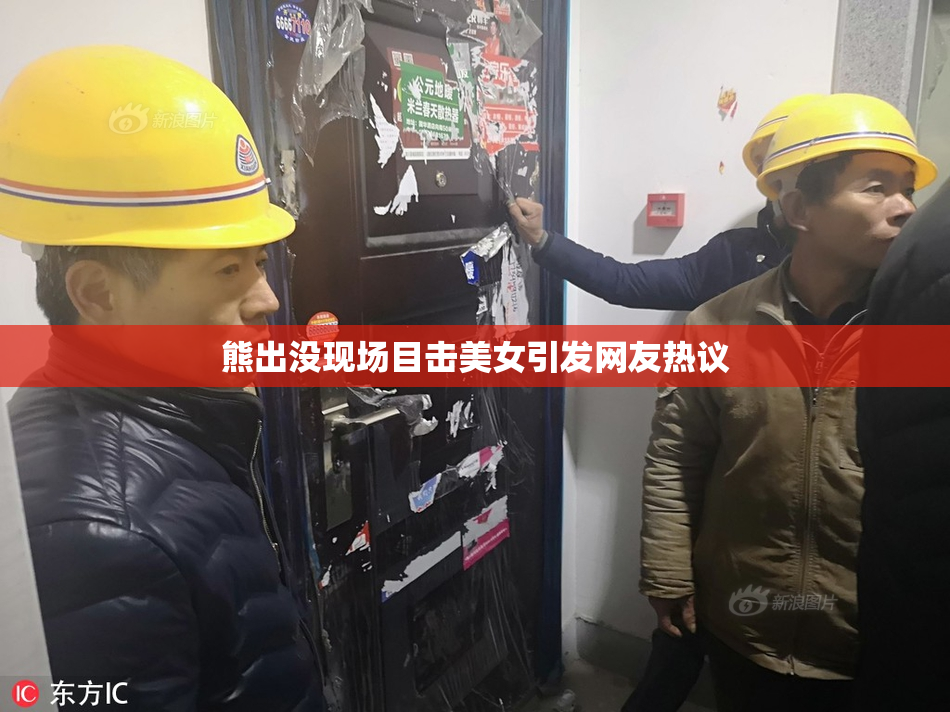 熊出没现场目击美女引发网友热议