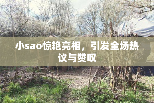 小sao惊艳亮相，引发全场热议与赞叹