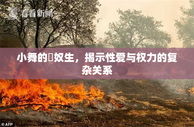 小舞的婬奴生，揭示性爱与权力的复杂关系