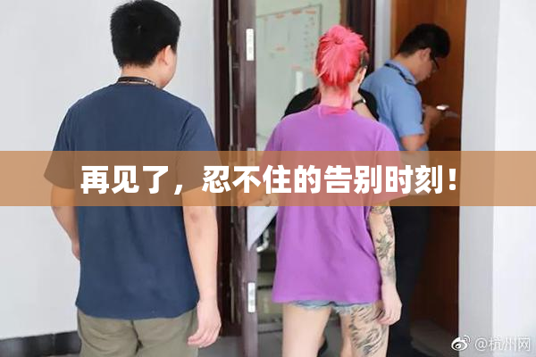 再见了，忍不住的告别时刻！