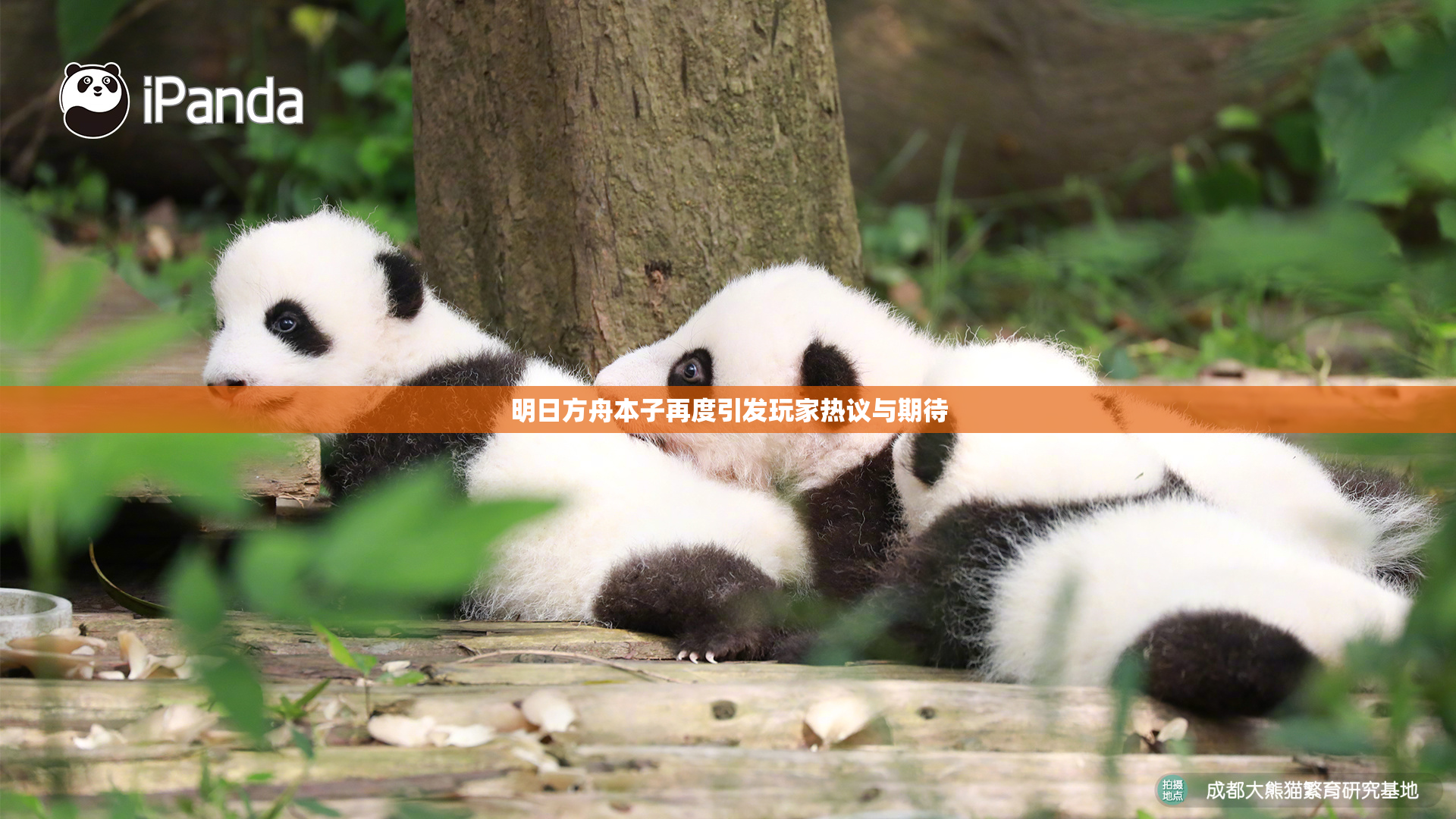 明日方舟本子再度引发玩家热议与期待