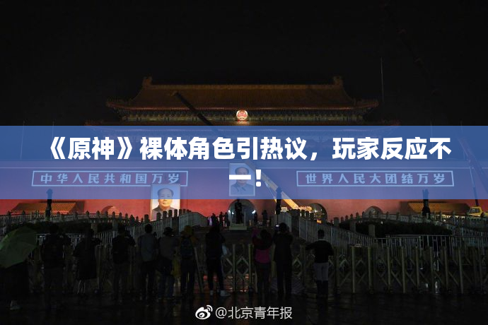 《原神》裸体角色引热议，玩家反应不一！