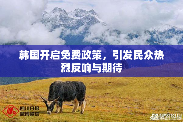 韩国开启免费政策，引发民众热烈反响与期待