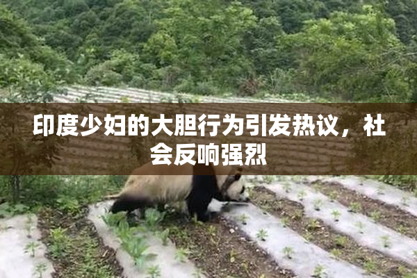 印度少妇的大胆行为引发热议，社会反响强烈