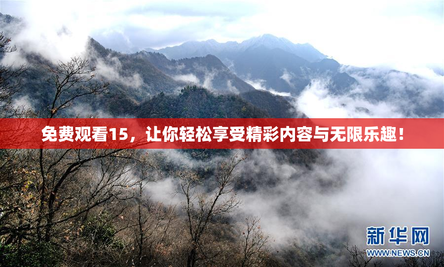 免费观看15，让你轻松享受精彩内容与无限乐趣！