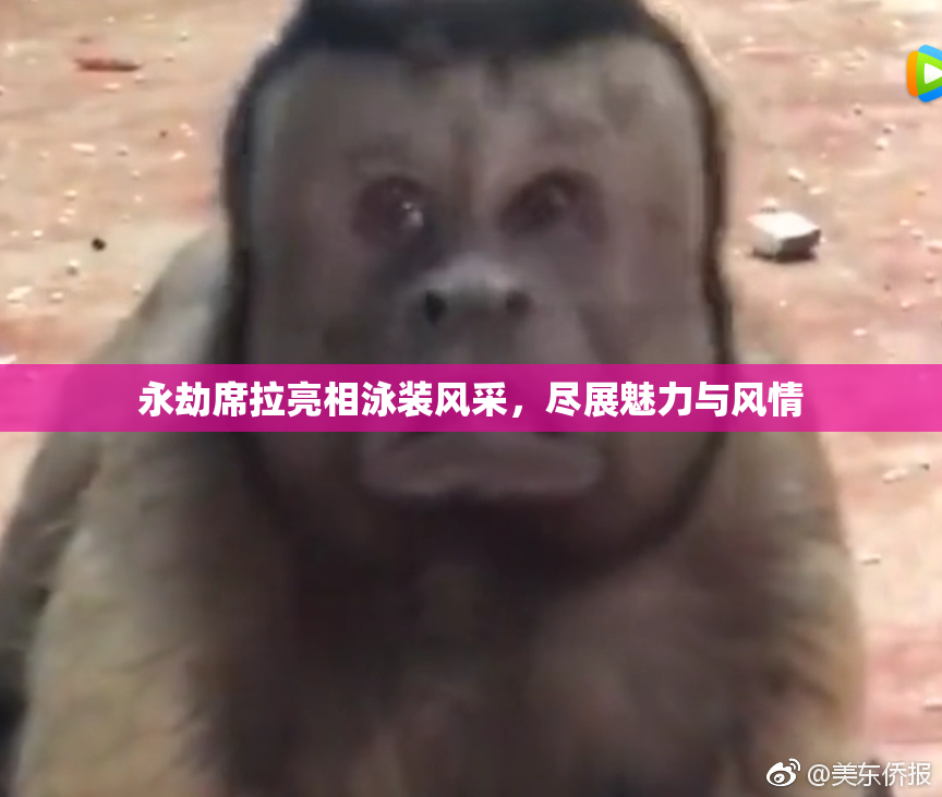 永劫席拉亮相泳装风采，尽展魅力与风情