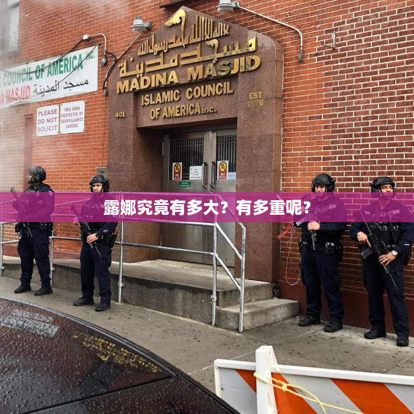 露娜究竟有多大？有多重呢？