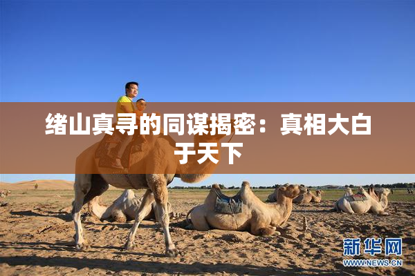 绪山真寻的同谋揭密：真相大白于天下
