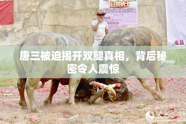 唐三被迫揭开双腿真相，背后秘密令人震惊