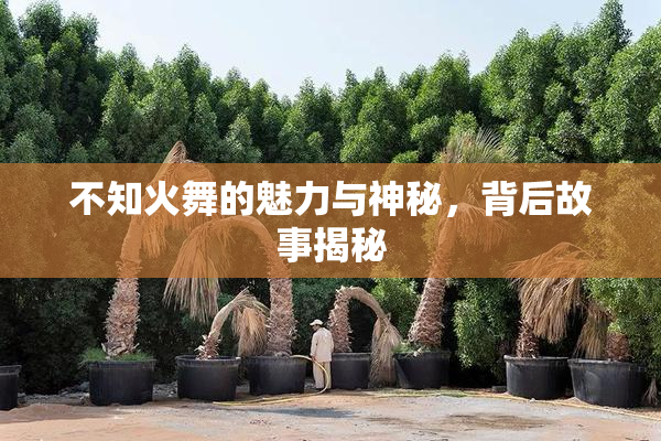 不知火舞的魅力与神秘，背后故事揭秘